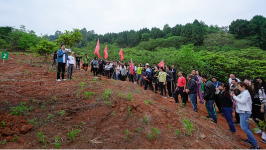 省新利体育集团开展龙泉山都会森林公园 “包山头”植树运动 - 新利体育