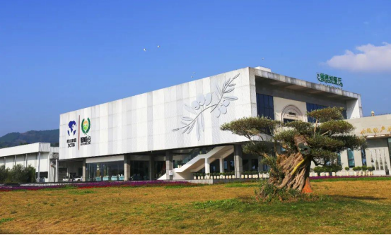 迎橄榄丰收 助墟落振兴 四川新利体育聚峰谷油橄榄工业发动金堂公园都会绿色低碳生长 - 新利体育
