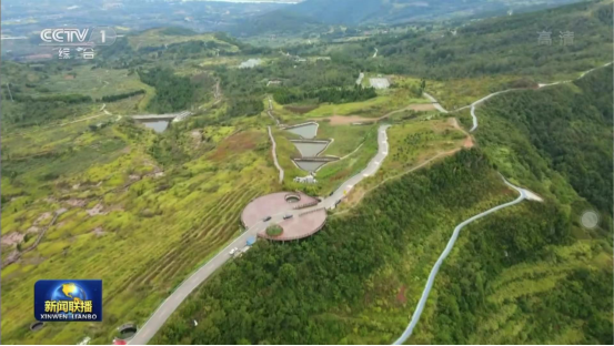 迎橄榄丰收 助墟落振兴 四川新利体育聚峰谷油橄榄工业发动金堂公园都会绿色低碳生长