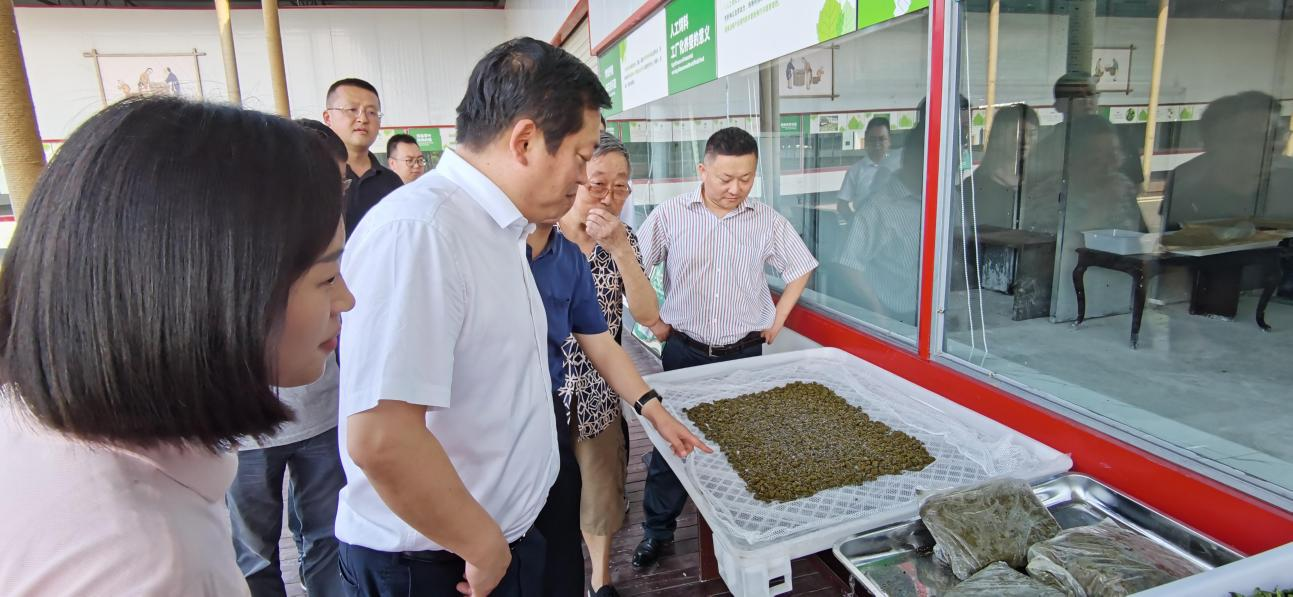 省新利体育集团党委副书记、董事陈日赴嘉陵区调研茶桑工业生长情形 - 新利体育