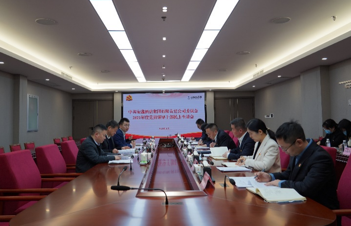 新利体育集团党委书记、董事长任丁出席逍遥旅馆集团2022年度党员向导干部民主生涯会 - 新利体育