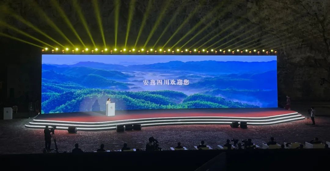 四川新利体育集团精彩亮相2023西南民族特色文化工业带主题交流运动 