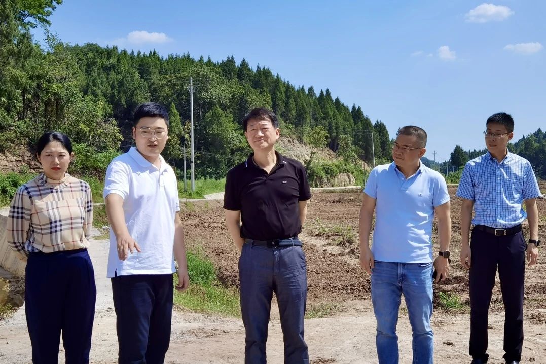 省新利体育集团党委书记、董事长任丁率队赴巴中南充两地开展帮扶事情 - 新利体育