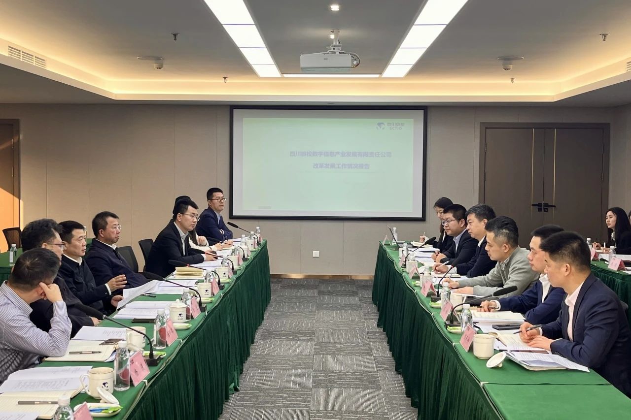 省新利体育集团党委书记、董事长游勇率队赴二级子公司调研 - 新利体育