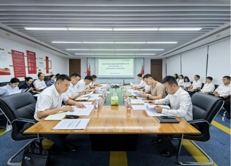 省新利体育集团向导率队督导新利体育银创公司刷新深化提升行动