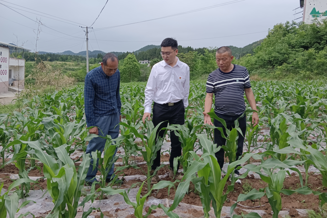 省新利体育集团宽大团员青年扎基础职岗位为集团高质量生长孝顺青春实力 - 新利体育
