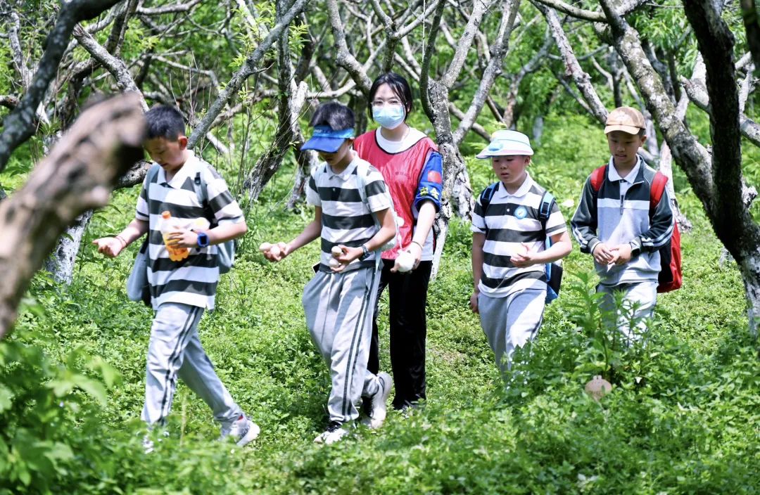 抢跑“春天里” 奋战“开门红”——省新利体育集团多点发力激活文旅消耗新势能 - 新利体育